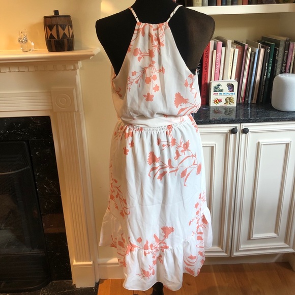 New! Joie Deme Dress in Porcelan - Picture 3 of 8